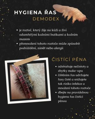 ‼️ Věděli jste, že pokud si nečistíte umělé řasy, může se v nich usadit roztoč jménem Demodex? 😱 Tento parazit miluje...